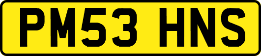 PM53HNS
