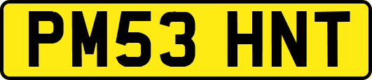 PM53HNT