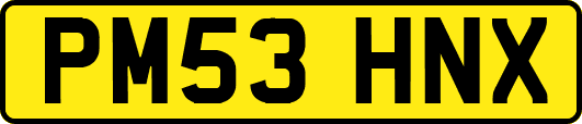 PM53HNX
