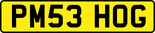 PM53HOG