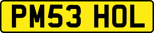 PM53HOL