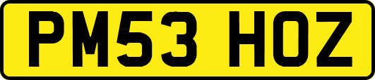 PM53HOZ