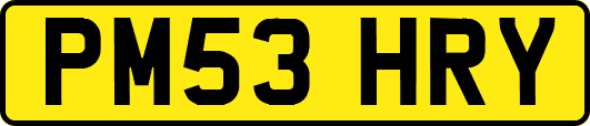 PM53HRY
