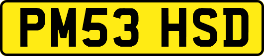 PM53HSD