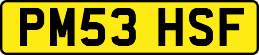 PM53HSF