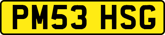PM53HSG