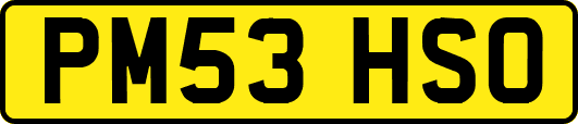 PM53HSO