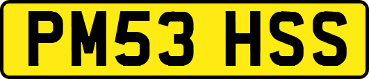 PM53HSS
