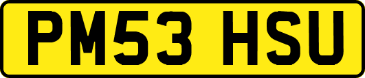 PM53HSU