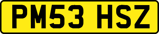 PM53HSZ
