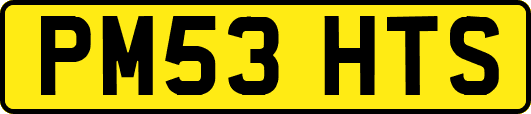 PM53HTS