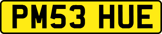 PM53HUE