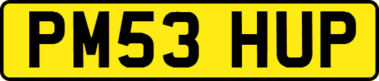 PM53HUP