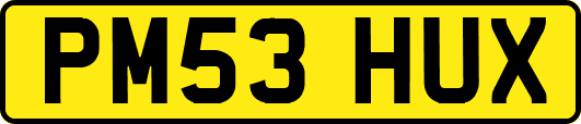 PM53HUX