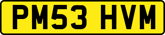 PM53HVM