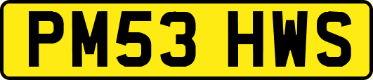 PM53HWS