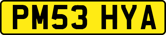 PM53HYA