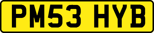 PM53HYB