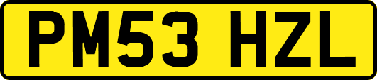 PM53HZL