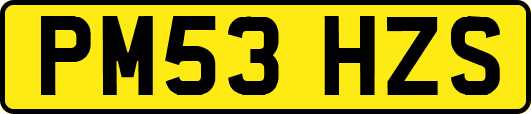 PM53HZS