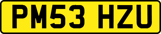 PM53HZU