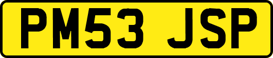 PM53JSP