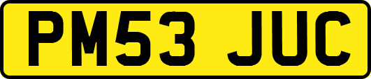PM53JUC