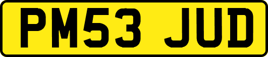 PM53JUD
