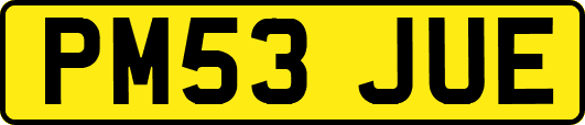 PM53JUE