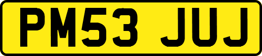 PM53JUJ