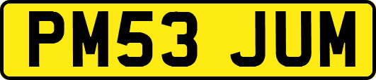 PM53JUM