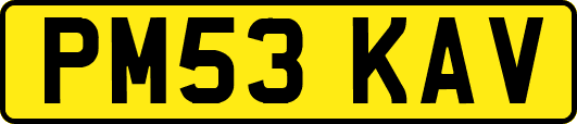 PM53KAV