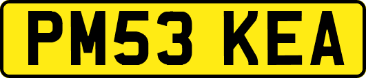 PM53KEA