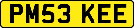 PM53KEE
