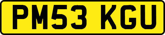 PM53KGU