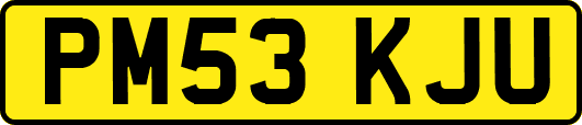PM53KJU