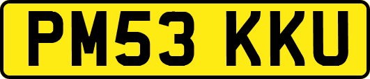 PM53KKU