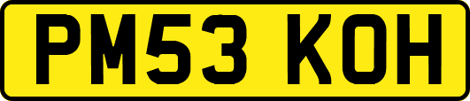 PM53KOH