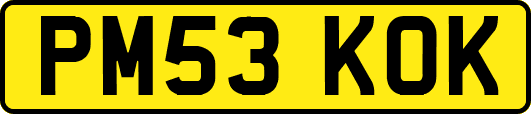 PM53KOK