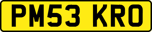 PM53KRO