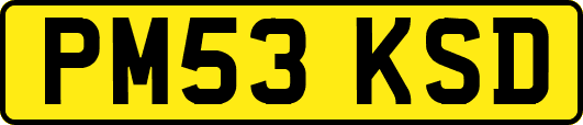 PM53KSD