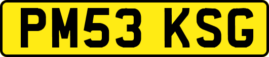 PM53KSG