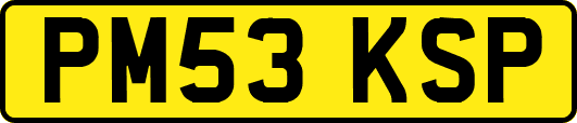 PM53KSP