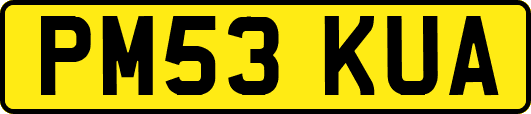 PM53KUA