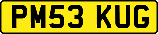 PM53KUG