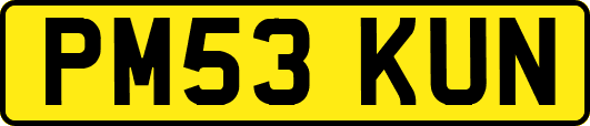 PM53KUN