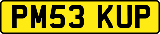 PM53KUP