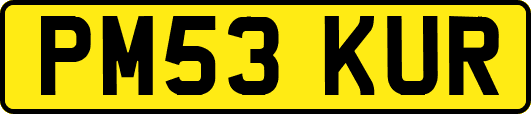 PM53KUR
