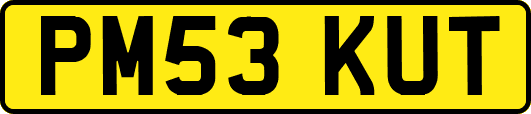 PM53KUT