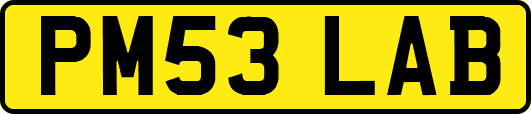 PM53LAB